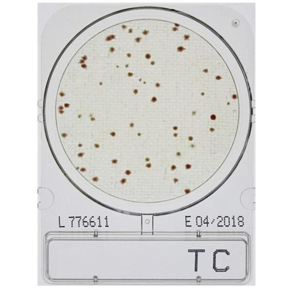 Compact Dry TC - Totalkim