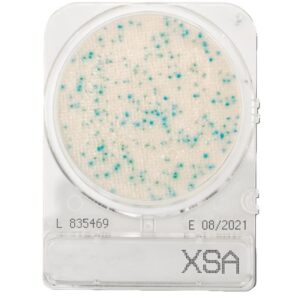 Compact Dry XSA - Staphylococcus aureus