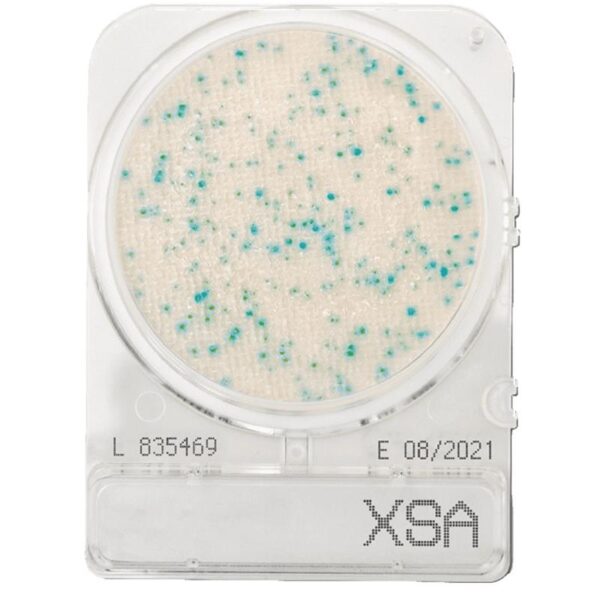 Compact Dry XSA - Staphylococcus aureus