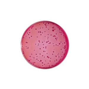 VRBG agar – 6 x 100 ml