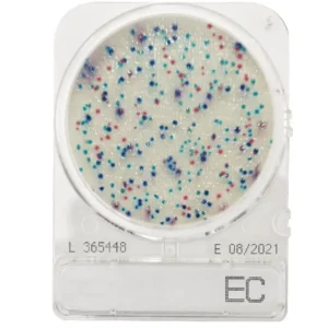 Compact Dry EC – E.coli och koliforma