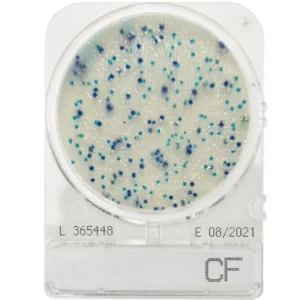 Compact Dry CF (40 st.)