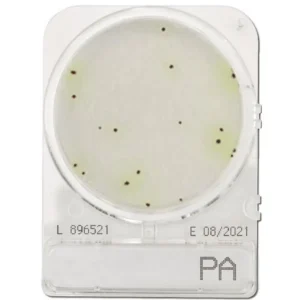 Compact Dry PA – Pseudomonas aeruginosa (40 st)