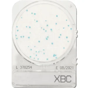 Compact Dry BC test av Bacillus cereus